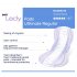 Seni Lady Ultimate Pads Regular